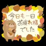 秋の定番❤️毎日使える優しい日常