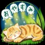 ちっちゃい猫のスタンプ 寧なことば ちっちゃい猫のスタンプ ちっちゃい猫のスタンプ 丁寧なことば 