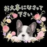 大人かわいい♡いぬと花のスタンプ