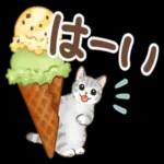 夏☆猫たちのスタンプ_-_