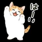 毎日☆猫たちのスタンプ