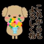 🐶犬の冒険物語