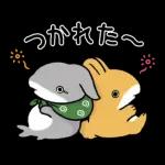 おでかけ子ザメ