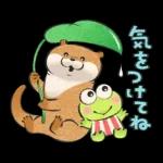 可愛い嘘のカワウソ×サンリオキャラ