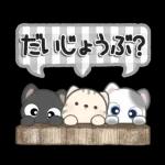 **ほのぼのにゃんこ**