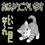 😳赤面乙女クラブ