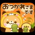 秋に役立つ♡豆柴日和