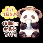 แพนด้าด้วยความเคารพ