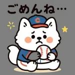 サモエドと一緒にぽかぽか春