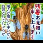 暑中見舞い♡夏のご挨拶♡候文