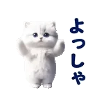 踊る！ペルシャ猫