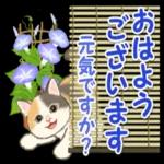 おはよう ございます いい天気 ですねー!
