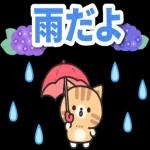 今日の癒しと元気をお届けますよ〜