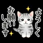 毎日☆猫たちのスタンプ