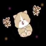 猫と仲間達♡日常。～