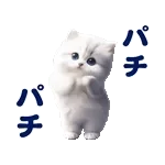 踊る！ペルシャ猫