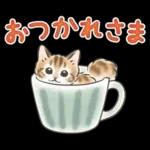 冬の毎日と年末年始☆猫たちのスタンプ