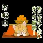 冬のキラキラおめめの子猫ちゃん