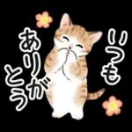 毎日☆猫たちのスタンプ