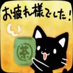 かわいい黒猫ちゃんの一日