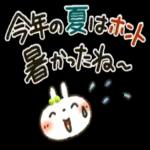 夏～秋「白うさぎさん」日常パック