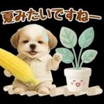 大人可愛いシーズーで梅雨の気づかい敬語