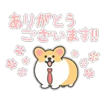おやすみ〜