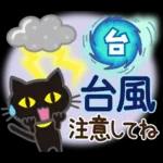 大人女子の日常【夏編】