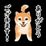 良い週末を！	体をリラックスさせる