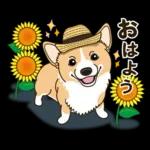 HN
気を
つけて
ねー