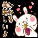 大好きなひかるに送る秋とハロウィン