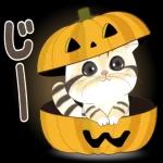 かわいい猫😺が来ますよ！