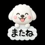 ず～っと使える♡かわいいトイプーさん♡白