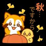 ほっこり秋タヌキ～～