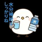 夏気分いっぱいひよこ