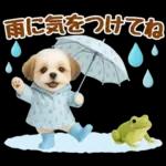 大人可愛いシーズーで梅雨の気づかい敬語