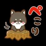 黒豆柴 あずき♡毎日使える 秋冬ver