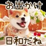 喜怒哀楽の激しい柴犬の野菜ダンス