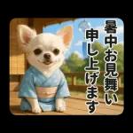 ずっと使える♡夏のチワワ