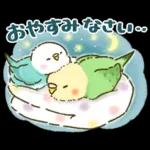 敬語が話せる！もふもふインコ