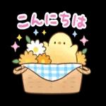  今日 寒いね