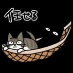 ナノときなこ7（夏）