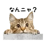 🔺噴火警戒！三宅島レベル2