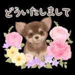 大人かわいい♡いぬと花のスタンプ