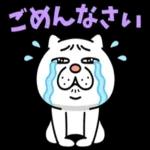 😍憧れ💕アルバム
