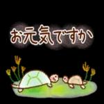 いつもありがとうございます