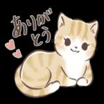 毎日使える♡大人可愛い