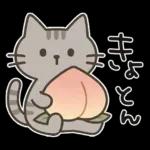 猫ちゃんとスイーツと夏