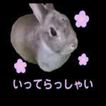 むーちゃんかわいこちゃんのスタンプ