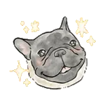 【動く】毎日使えるフレンチブルドッグ